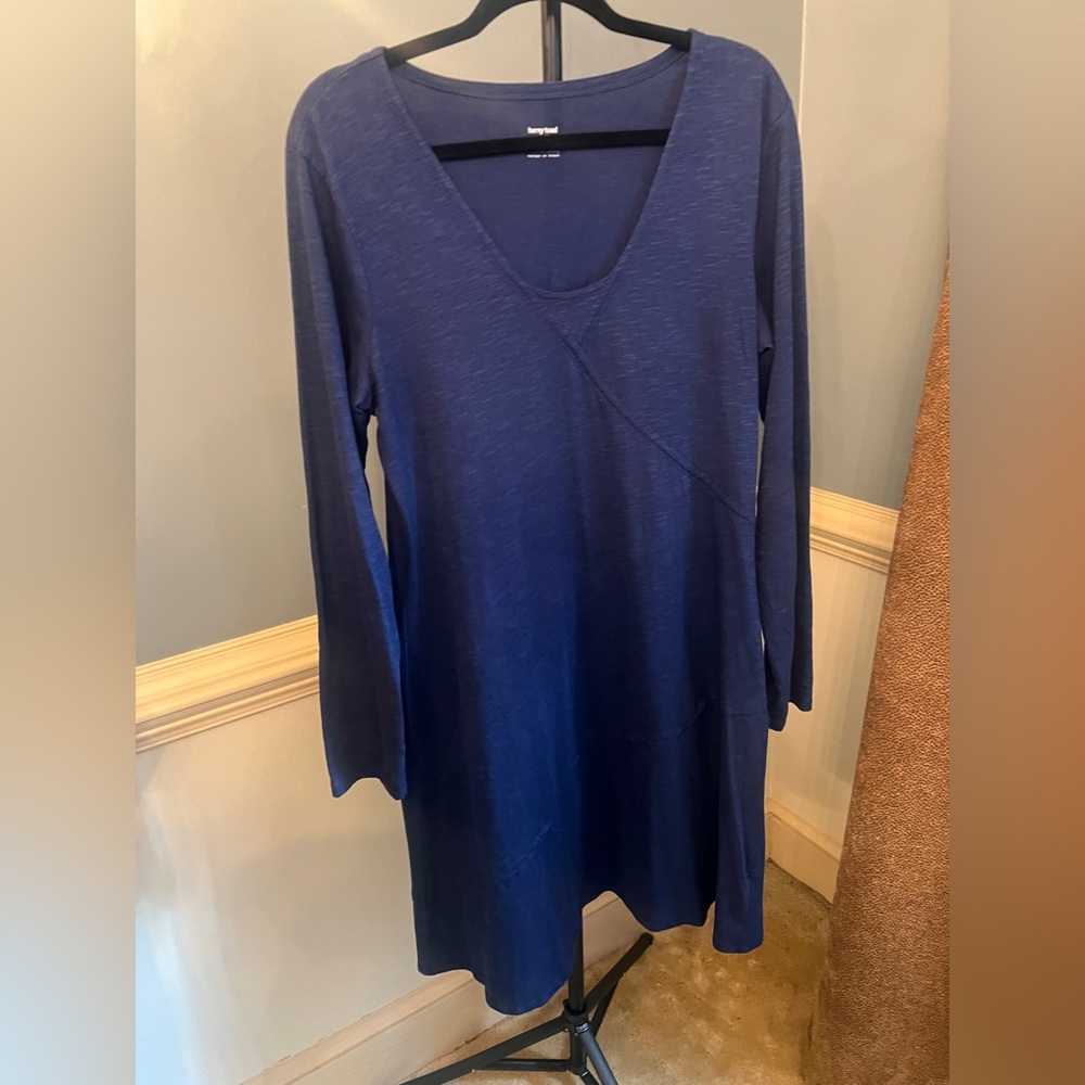Horny Toad Blue Long‎ Sleeve Dress large
